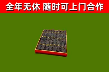 苍溪县回收海参